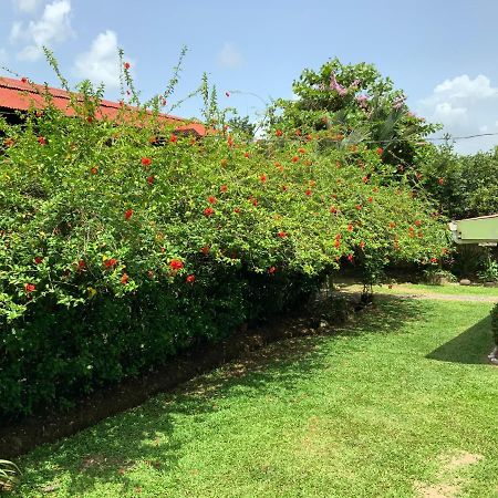 Casona Tica Linda Hotel Sarapiquí Kültér fotó