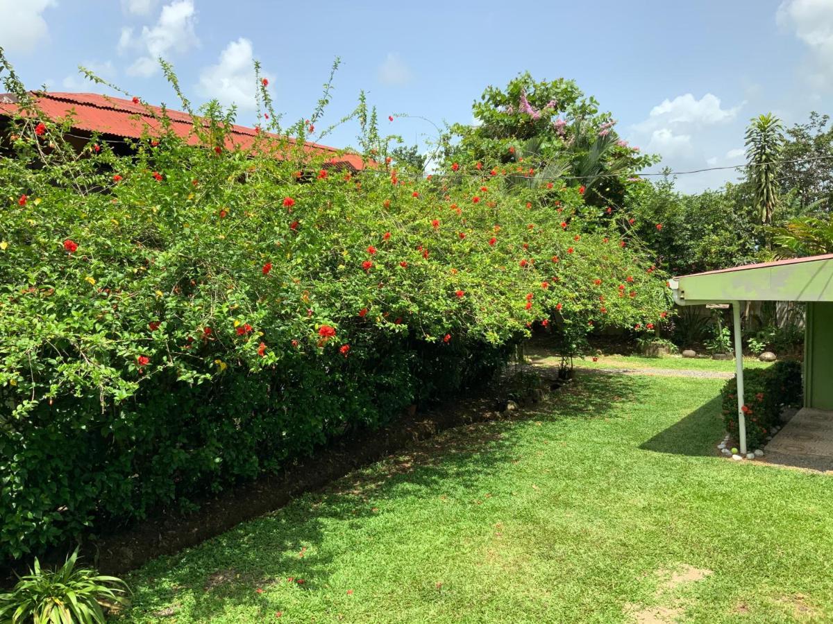 Casona Tica Linda Hotel Sarapiquí Kültér fotó